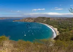 哥斯达黎加游泳选手抢先赢得 哥斯达黎加游泳选手抢先赢得